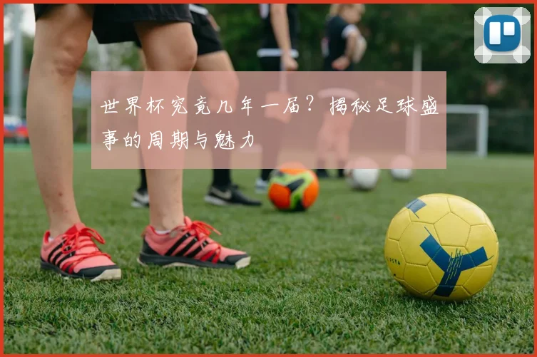 世界杯究竟几年一届？揭秘足球盛事的周期与魅力